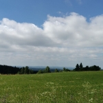 Zvětšit