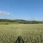 Zvětšit