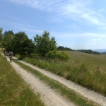 Zvětšit