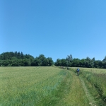 Zvětšit