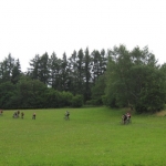 Zvětšit