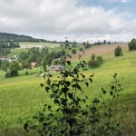 Zvětšit